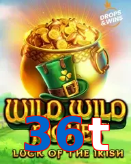 36t