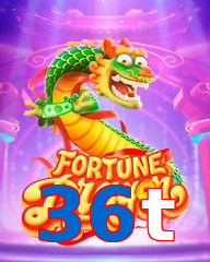 36t