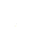 36t